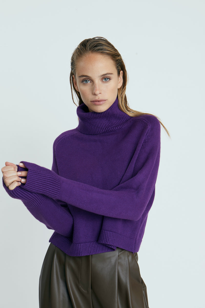 Pugliese Turtleneck Sweater