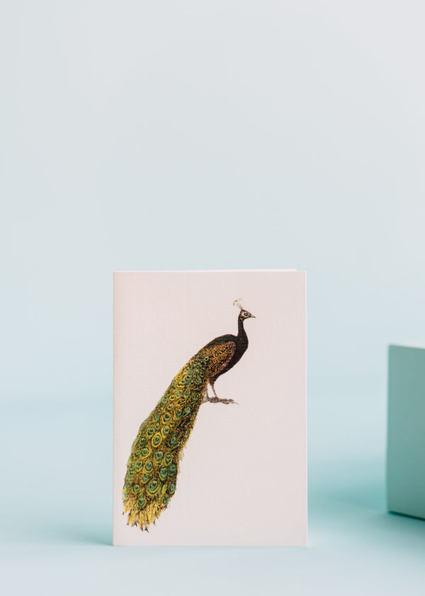 Peacock Greeting Card